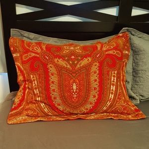 2 Isaac Mizrahi Boho Style Paisley "POP" Pillow Shams Fits 24x19 100% Cotton GUC